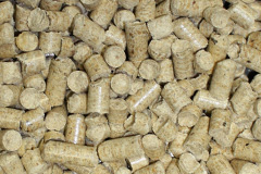 Pill biomass boiler costs