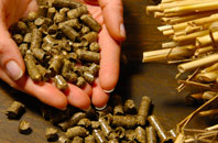 free Pill biomass boiler quotes